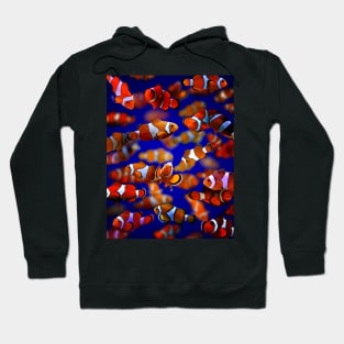 Clown Fish Hoodie